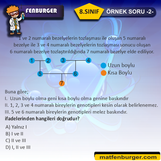 8-SINIF 2-SORU (1)